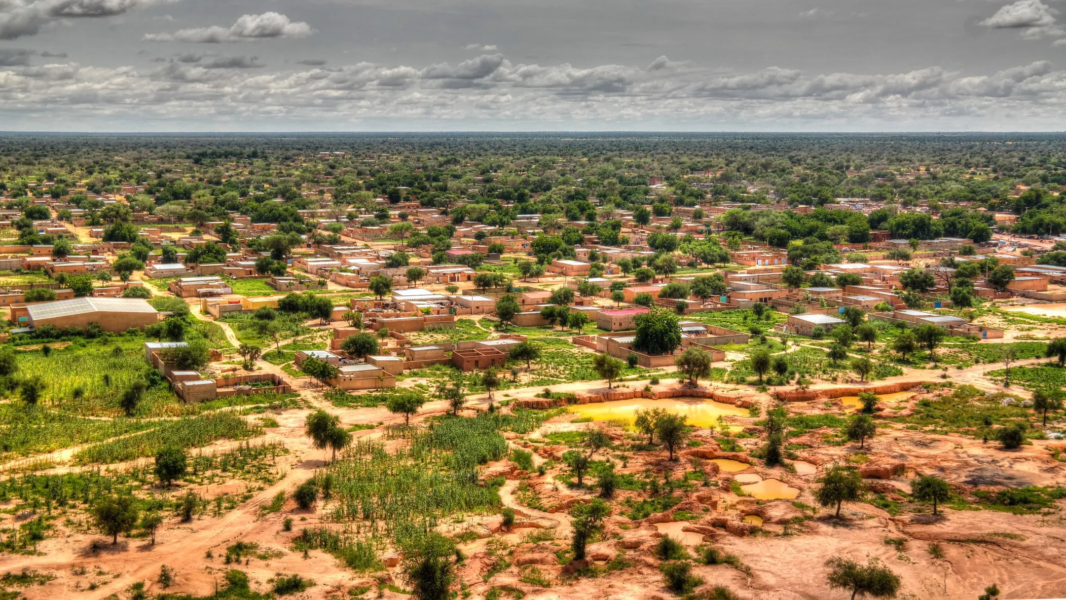 Harmony in Green: The Profound Impact of the Environment and Trees on Human Life and the Planet